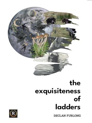 cover image of The Exquisiteness of Ladders